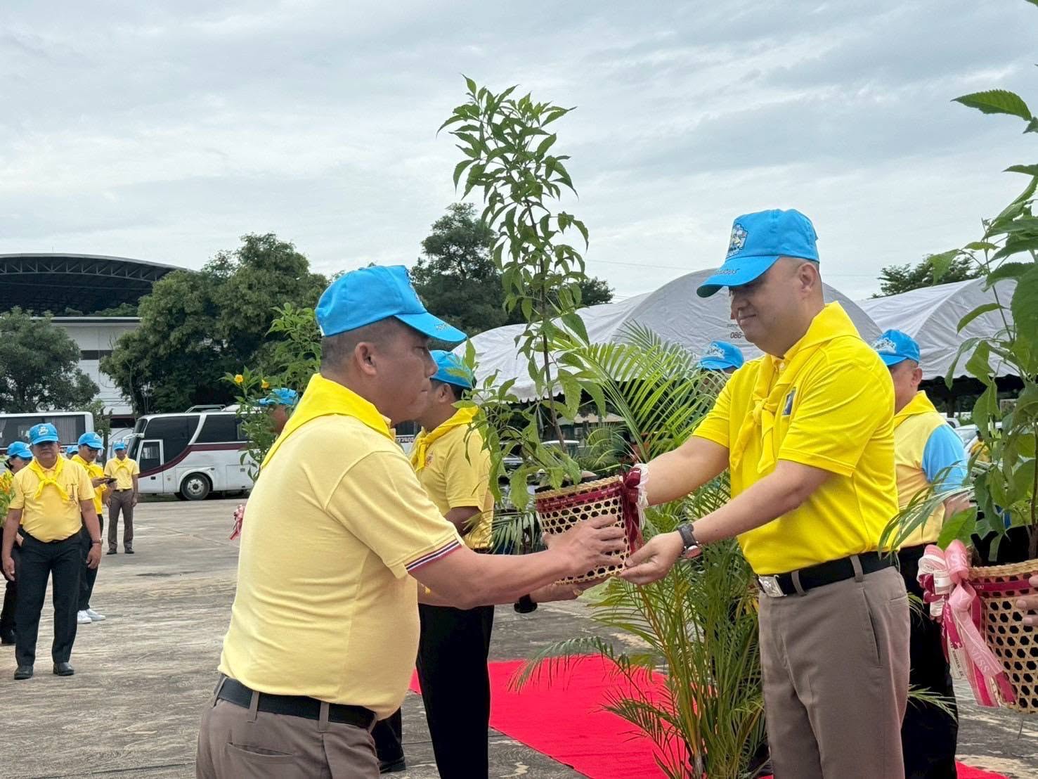 กิจกรรมจิตอาสาปลูกต้นทองอุไร